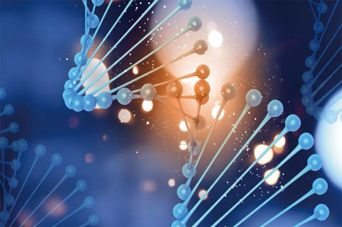 可載藥栓塞微球